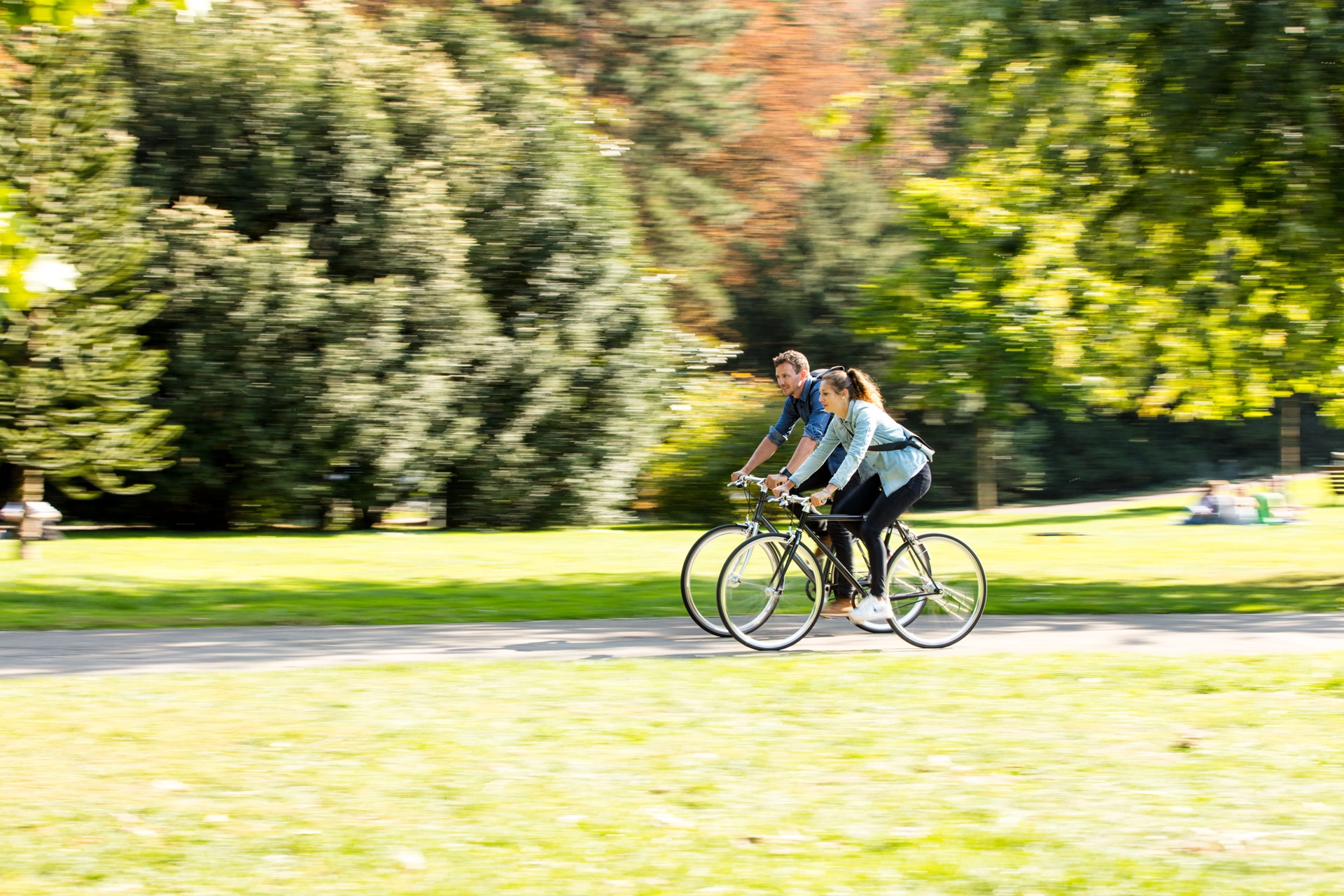 Zwei Radler:innen fahren durch den sonnigen Park, seitliche Ansicht